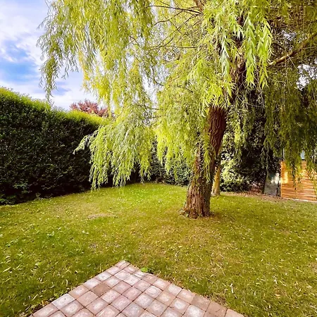 Maison Paisible Avec Jardin Arbore